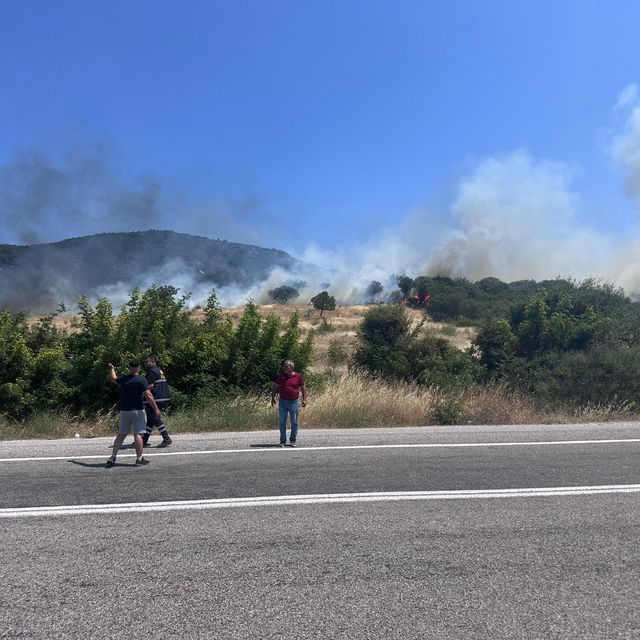 Ayvacık'ta orman yangını
