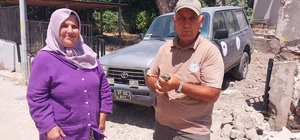 Gelibolu'da yaralı halde bulunan baykuş yavrusu koruma altına alındı