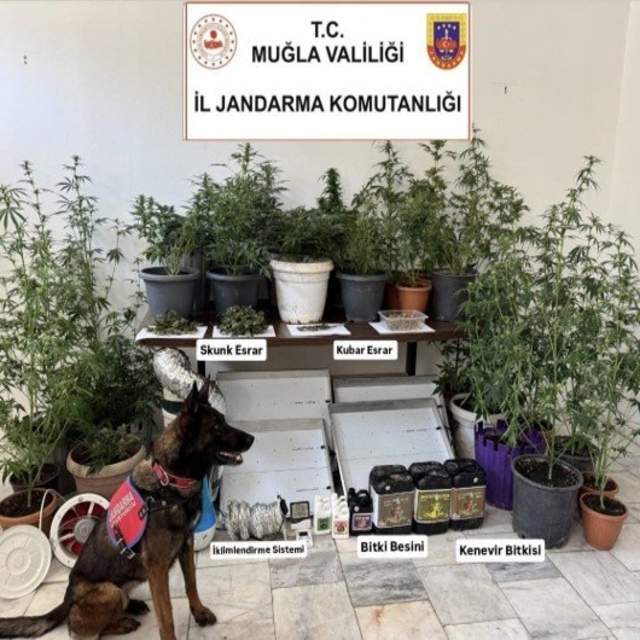 Muğla'da haziran ayındaki uyuşturucu operasyonlarında yakalanan 118 şüpheli...