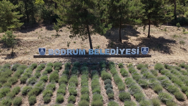 2026 Yılı Gençlik Tarım Kamplarının ilki başladı