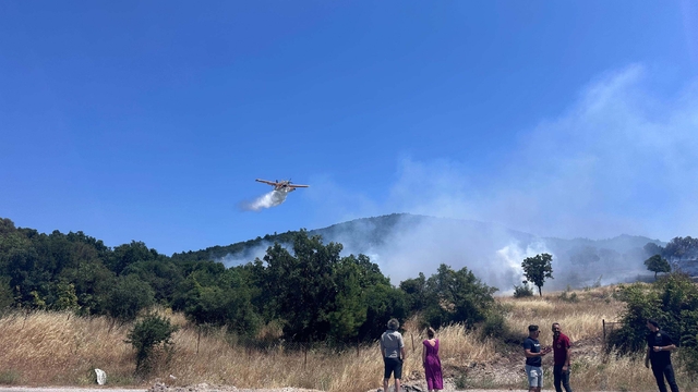 Çanakkale'de orman yangını (2)