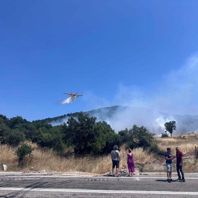 Çanakkale'de orman yangını (2)