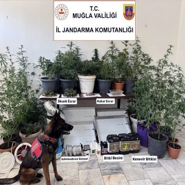 Jandarma ekiplerinin uyuşturucu ve sahte alkol denetimleri sürüyor
