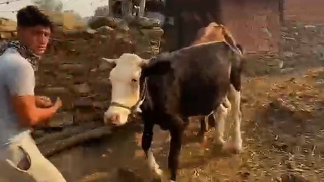 Bozdoğan'da tahliye başladı, alevler sınıra dayandı