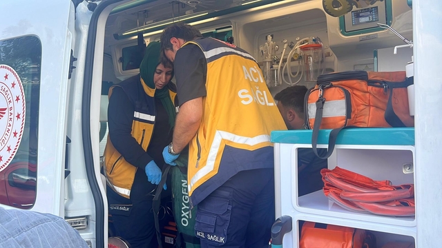 Galeri
