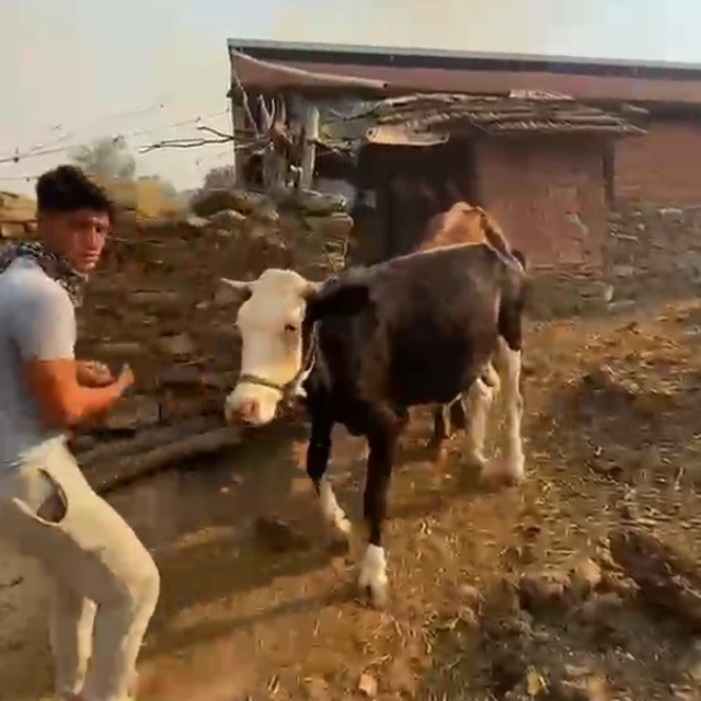 Bozdoğan'da tahliye başladı, alevler sınıra dayandı