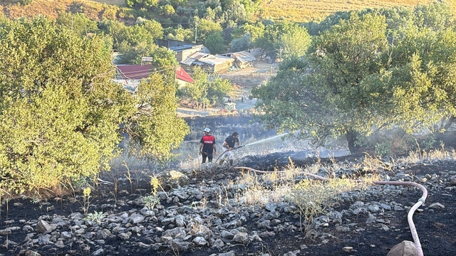 Elazığ'da arazi yangını