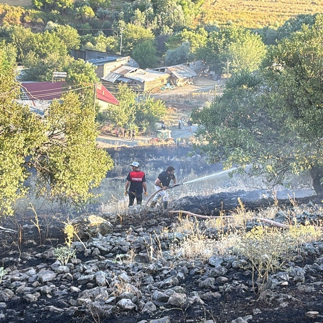 Elazığ'da arazi yangını