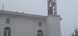 Güvercin yuvası minare yıkımını erteledi
Fırtınada yıkılan minareye yuva ya...