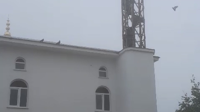 Güvercin yuvası minare yıkımını erteledi
Fırtınada yıkılan minareye yuva yapan güvercini gören yayla sakinleri yıkım için minik yavruların yumurtadan çıkıp uçmasını bekliyor