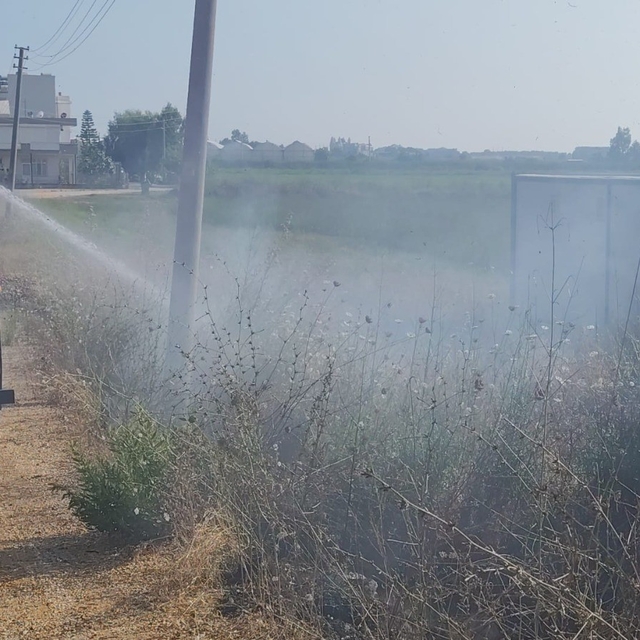 Manavgat'ta ot yangını korkuttu
