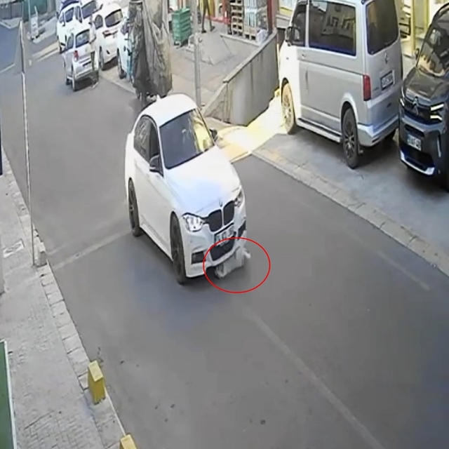 Tekirdağ'da mahallenin maskotu Yumak'a araba çarptı