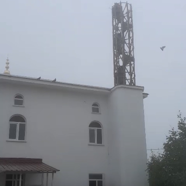 Güvercin yuvası minare yıkımını erteledi
Fırtınada yıkılan minareye yuva ya...