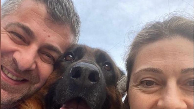 25 gündür kayıp olan köpek 'Santos'u bulana 100 bin lira ödül