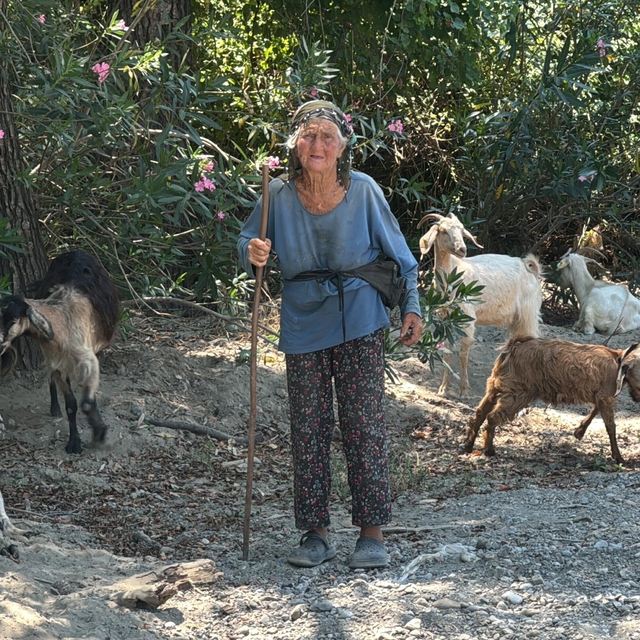 90 yaşında, elinde değneğiyle her gün merada