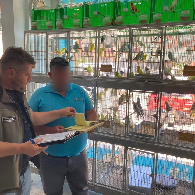 Çanakkale'de petshop denetimi