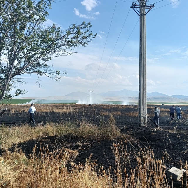 Karapınar'da buğday ekili tarlada yangın paniği