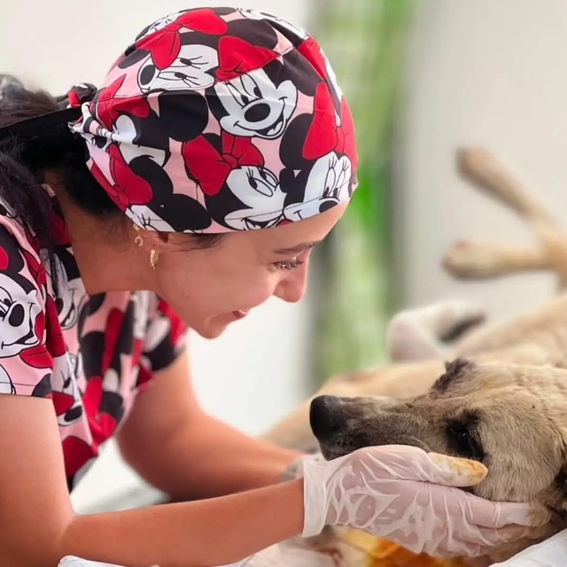 Gözüne bağ çubuğu saplanan köpek yeniden hayata tutundu
