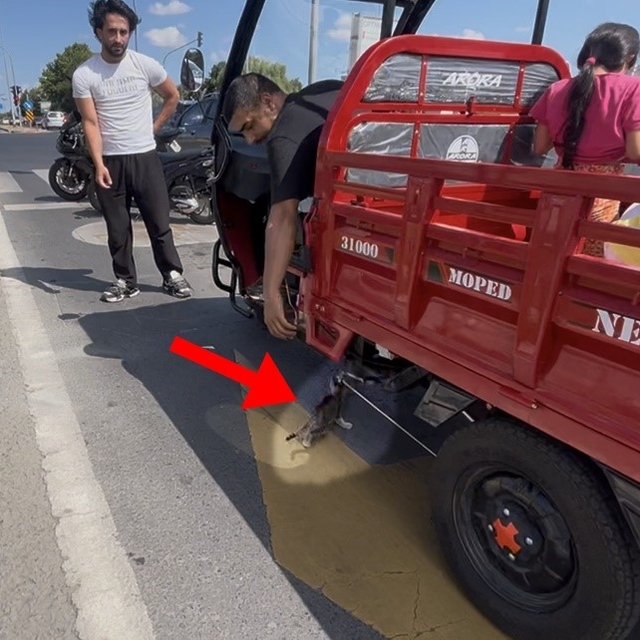 Mopede dadanan yavru kedi ezilmekten son anda kurtarıldı
