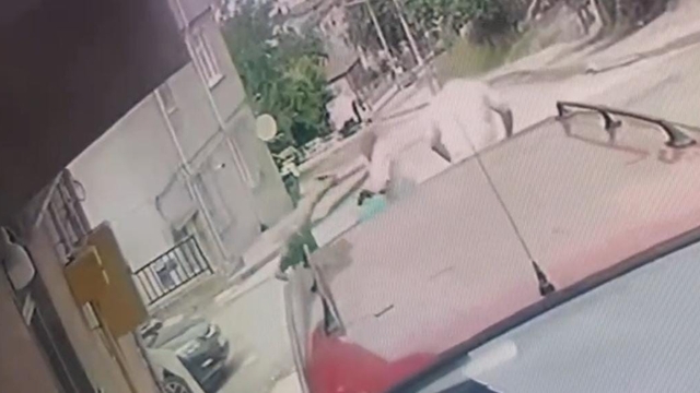 Kardeş katliamının zanlısı teslim oldu