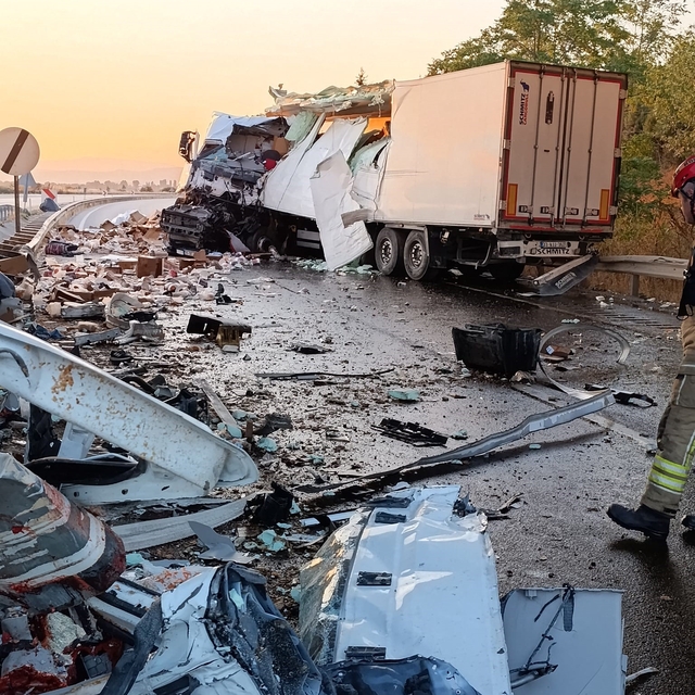 Köprüdeki beton bariyere çarpan tavuk yüklü kamyonun sürücüsü hayatını kayb...
