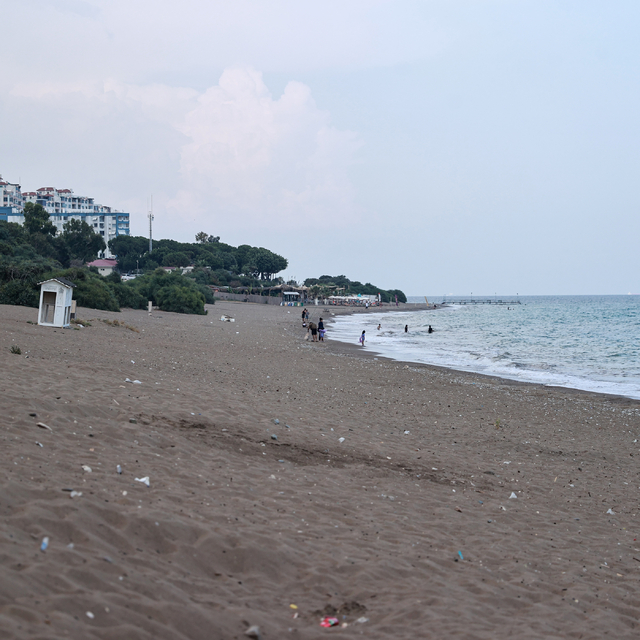 Anaç deniz kaplumbağaları Mersin sahillerine yumurta bırakmaya başladı