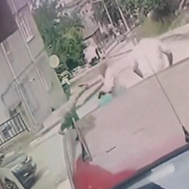 Kardeş katliamının zanlısı teslim oldu