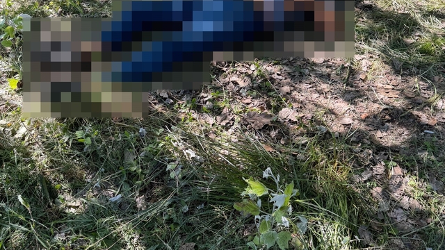 Eskişehir'de bir kişi ağaçlık alanda ölü bulundu