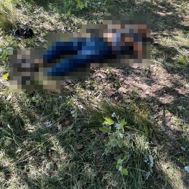 Eskişehir'de bir kişi ağaçlık alanda ölü bulundu