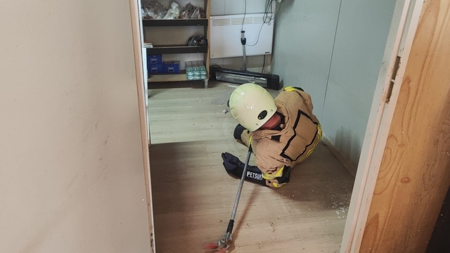 İş yerine giren yılan paniğe neden oldu