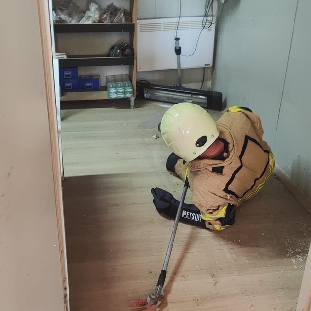 İş yerine giren yılan paniğe neden oldu