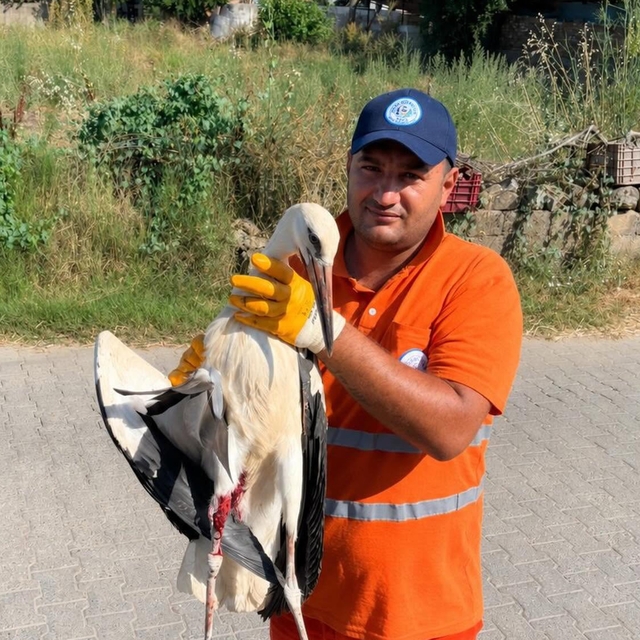 Temizlik personelinin duyarlılığı yaralı Leyleğe umut oldu