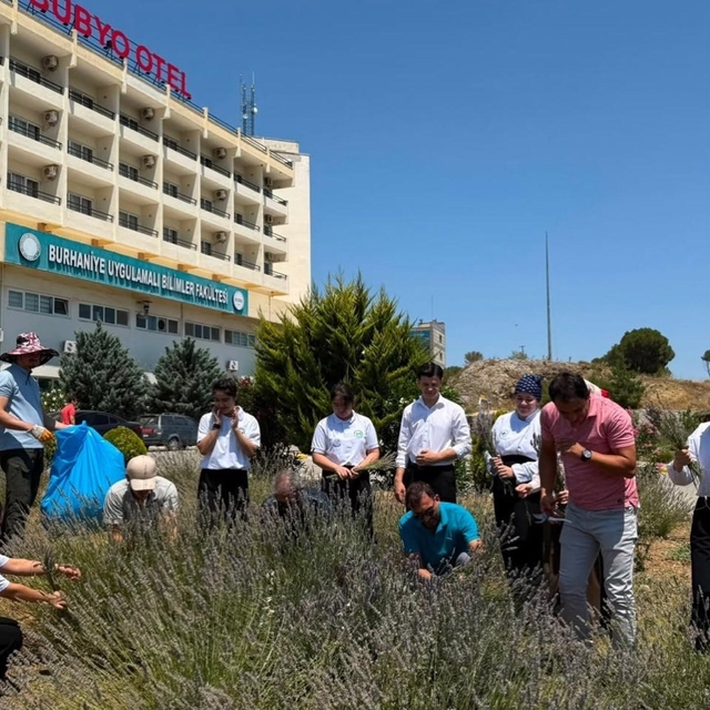Lavanta kokulu okulda hasat heyecanı yaşandı