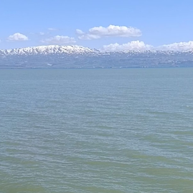 Van Gölü'nde yüzmek yasaklandı