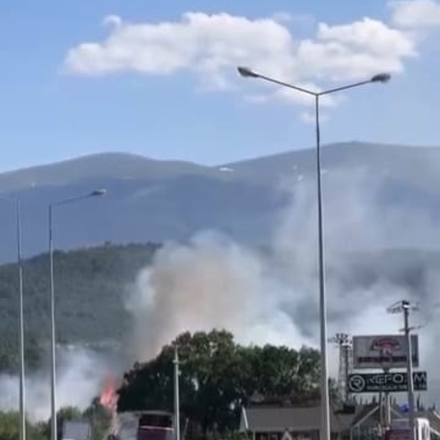 Bursa'da ot yangını; havadan ve karadan müdahale ediliyor