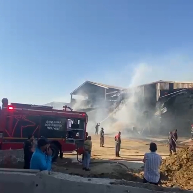 Şanlıurfa'da hayvan çiftliğinde yangın