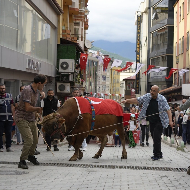 "Kafkasör Festivali" boğalı kortej yürüyüşüyle başladı