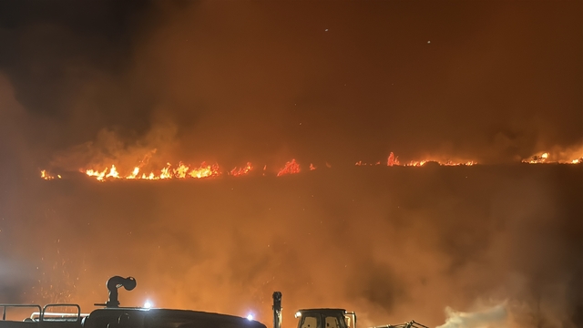 Bodrum'da makilik ve otluk alanda yangın
