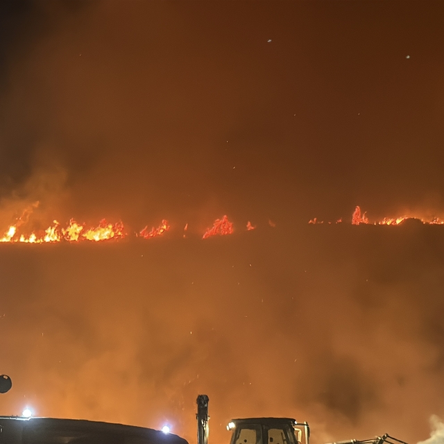Bodrum'da makilik ve otluk alanda yangın