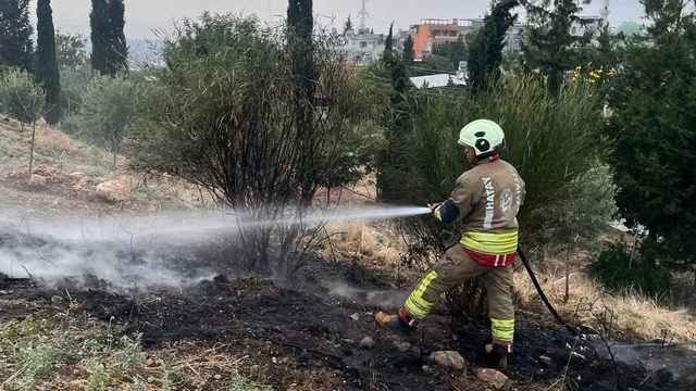 İskenderun'da otluk alan yangını