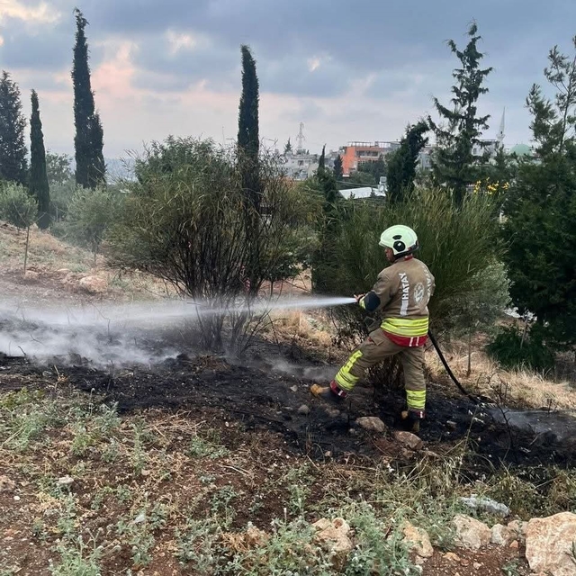 İskenderun'da otluk alan yangını