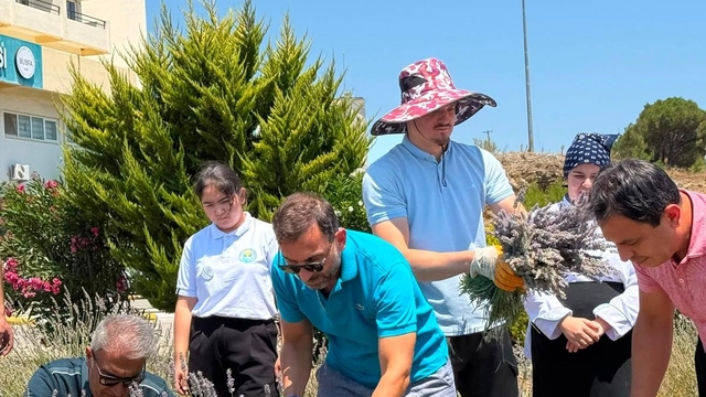 Burhaniye'de "Lavanta Kokulu Okul" da hasat heyecanı