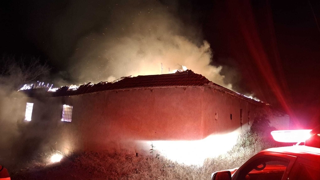 Malatya'da evde çıkan yangın ormana sıçradı; 2 ev zarar gördü