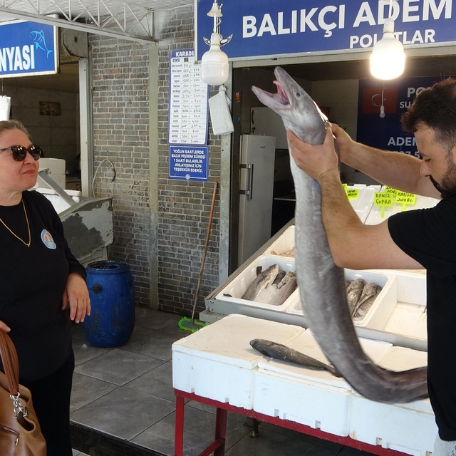 Mersin'de dev yılan balığı tezgahta ilgi odağı oldu