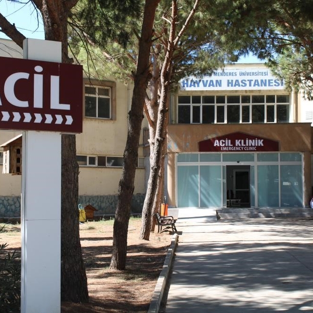 ADÜ Hayvan Hastanesi'nde online randevu dönemi başladı