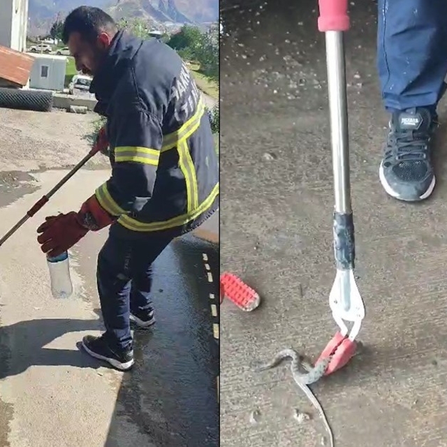 Hakkari'de aracın motor bölmesine giren yılan çıkarıldı