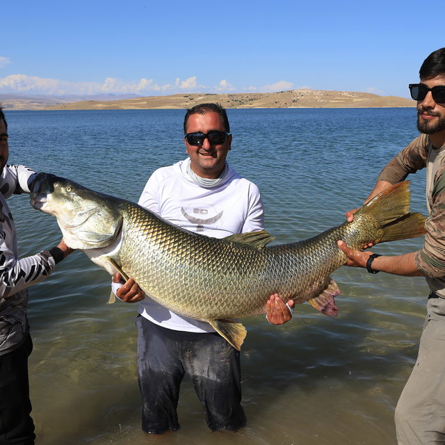 Elazığ'da sportif balıkçı 1,7 metrelik turna balığı yakaladı