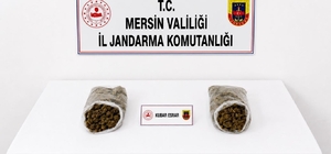 Mersin'de jandarmadan uyuşturucu operasyonu: 2 tutuklama