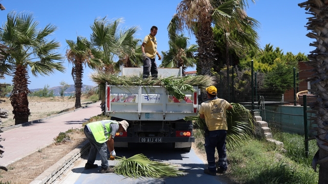 Kuşadası'nda yeşil alanlarda kapsamlı bakım ve düzenleme çalışması