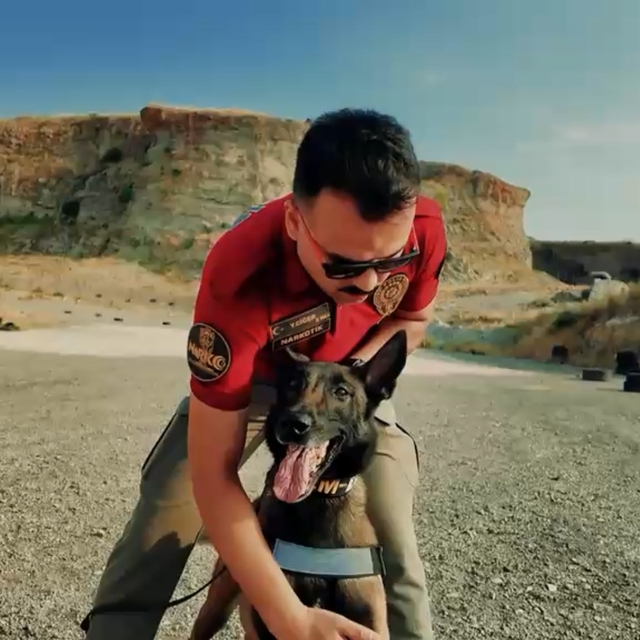 Jardi, 3'üncü kez Türkiye'nin en başarılı görev köpeği seçildi